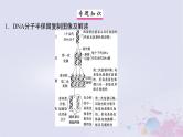 2025届高考生物一轮总复习必修1第四单元细胞的生命历程微专题7DNA复制与细胞分裂中染色体标记情况的知识整合课件