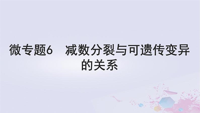 2025届高考生物一轮总复习必修1第四单元细胞的生命历程微专题6减数分裂与可遗传变异的关系课件01