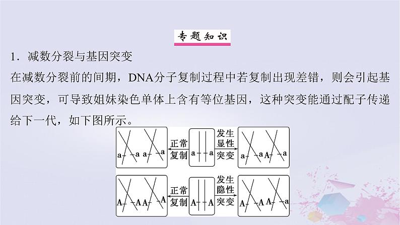 2025届高考生物一轮总复习必修1第四单元细胞的生命历程微专题6减数分裂与可遗传变异的关系课件02