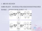 2025届高考生物一轮总复习必修1第四单元细胞的生命历程微专题6减数分裂与可遗传变异的关系课件