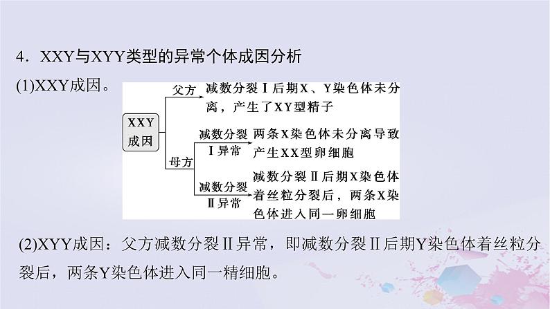 2025届高考生物一轮总复习必修1第四单元细胞的生命历程微专题6减数分裂与可遗传变异的关系课件07