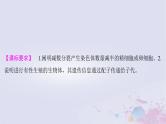 2025届高考生物一轮总复习必修1第四单元细胞的生命历程第16讲减数分裂和受精作用课件