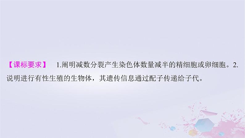 2025届高考生物一轮总复习必修1第四单元细胞的生命历程第16讲减数分裂和受精作用课件02