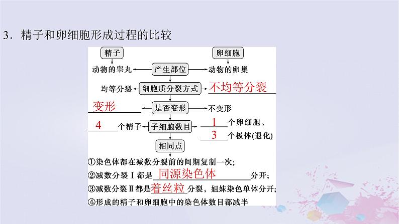 2025届高考生物一轮总复习必修1第四单元细胞的生命历程第16讲减数分裂和受精作用课件06