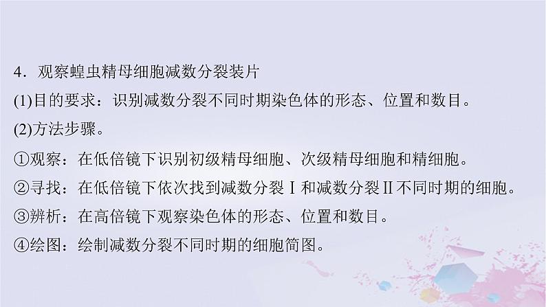 2025届高考生物一轮总复习必修1第四单元细胞的生命历程第16讲减数分裂和受精作用课件07