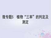 2025届高考生物一轮总复习必修1第三单元细胞的能量供应和利用微专题5植物“三率”的判定及测定课件