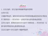 2025届高考生物一轮总复习必修1第三单元细胞的能量供应和利用微专题5植物“三率”的判定及测定课件