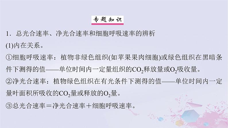 2025届高考生物一轮总复习必修1第三单元细胞的能量供应和利用微专题5植物“三率”的判定及测定课件02