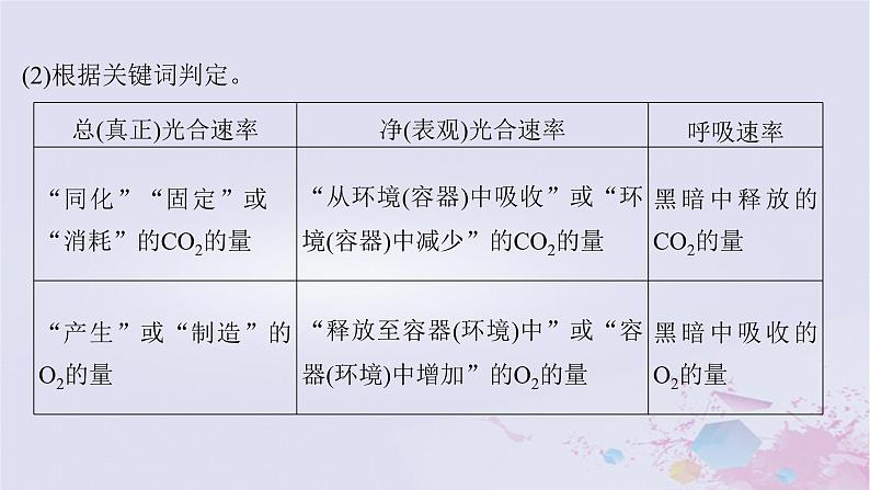 2025届高考生物一轮总复习必修1第三单元细胞的能量供应和利用微专题5植物“三率”的判定及测定课件03