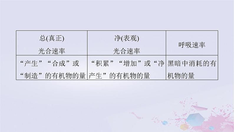 2025届高考生物一轮总复习必修1第三单元细胞的能量供应和利用微专题5植物“三率”的判定及测定课件04