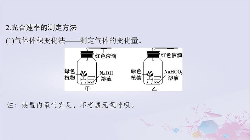 2025届高考生物一轮总复习必修1第三单元细胞的能量供应和利用微专题5植物“三率”的判定及测定课件05