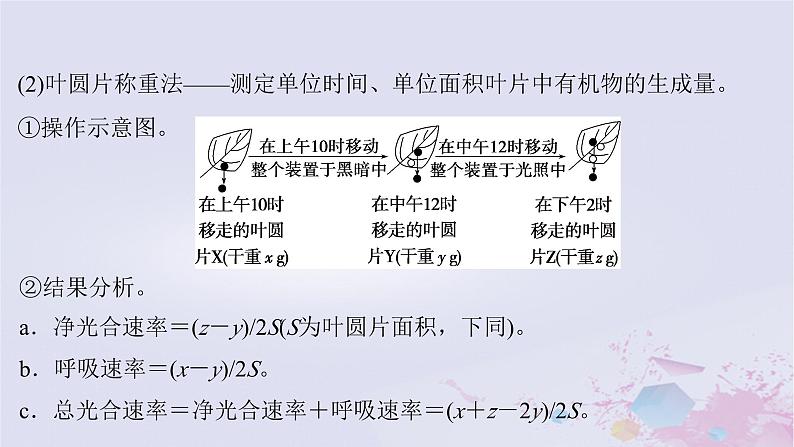 2025届高考生物一轮总复习必修1第三单元细胞的能量供应和利用微专题5植物“三率”的判定及测定课件08