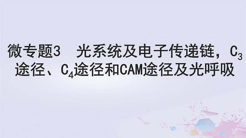 2025届高考生物一轮总复习必修1第三单元微专题3光系统及电子传递链C3途径C4途径和CAM途径及光呼吸课件01