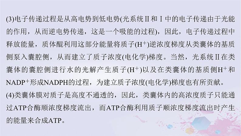 2025届高考生物一轮总复习必修1第三单元微专题3光系统及电子传递链C3途径C4途径和CAM途径及光呼吸课件04