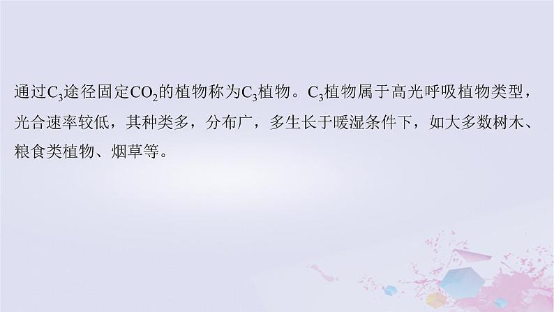 2025届高考生物一轮总复习必修1第三单元微专题3光系统及电子传递链C3途径C4途径和CAM途径及光呼吸课件06