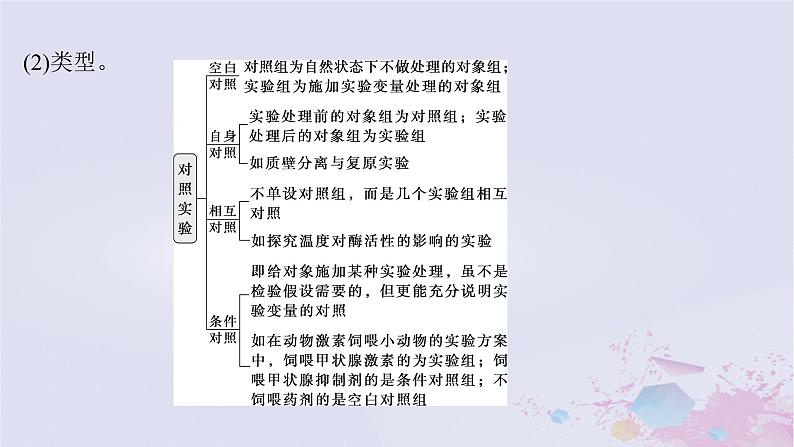 2025届高考生物一轮总复习必修1第三单元细胞的能量供应和利用实验技能一对比实验与对照实验分析课件第4页