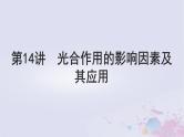 2025届高考生物一轮总复习必修1第三单元细胞的能量供应和利用第14讲光合作用的影响因素及其应用课件