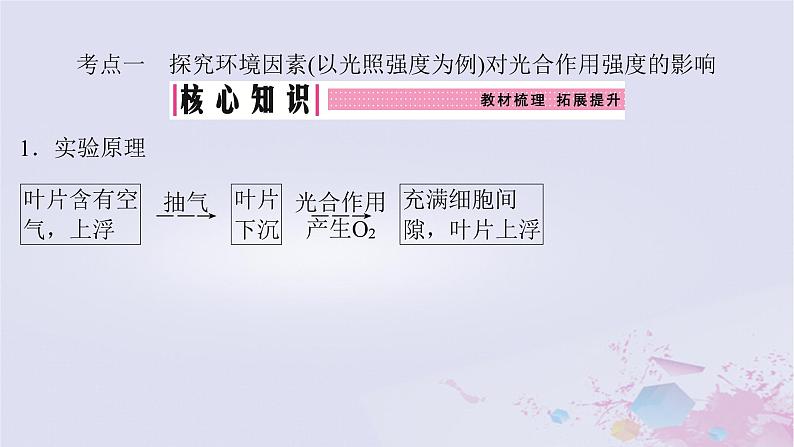 2025届高考生物一轮总复习必修1第三单元细胞的能量供应和利用第14讲光合作用的影响因素及其应用课件04