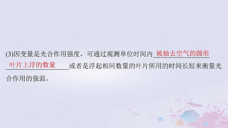 2025届高考生物一轮总复习必修1第三单元细胞的能量供应和利用第14讲光合作用的影响因素及其应用课件06