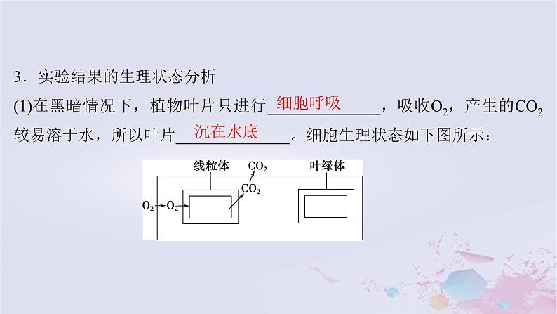 2025届高考生物一轮总复习必修1第三单元细胞的能量供应和利用第14讲光合作用的影响因素及其应用课件07