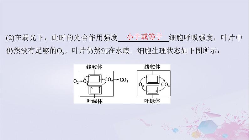 2025届高考生物一轮总复习必修1第三单元细胞的能量供应和利用第14讲光合作用的影响因素及其应用课件08