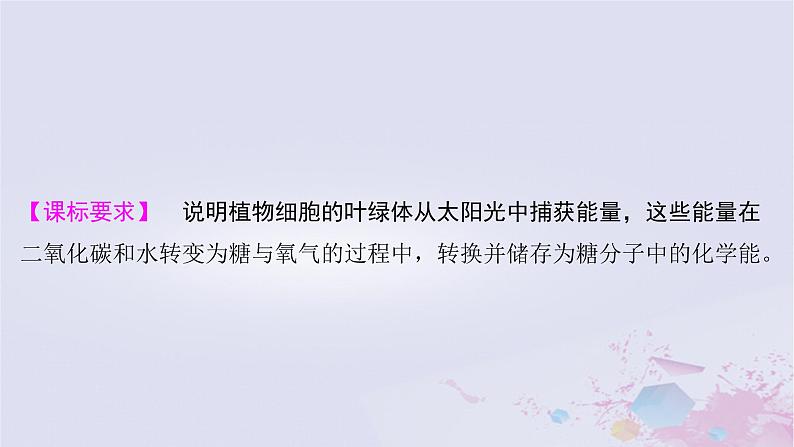 2025届高考生物一轮总复习必修1第三单元细胞的能量供应和利用第13讲光合作用的原理课件第2页