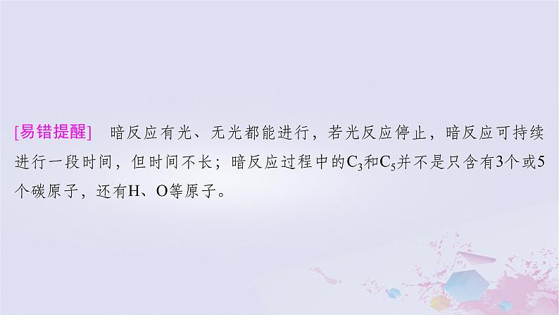 2025届高考生物一轮总复习必修1第三单元细胞的能量供应和利用第13讲光合作用的原理课件第7页