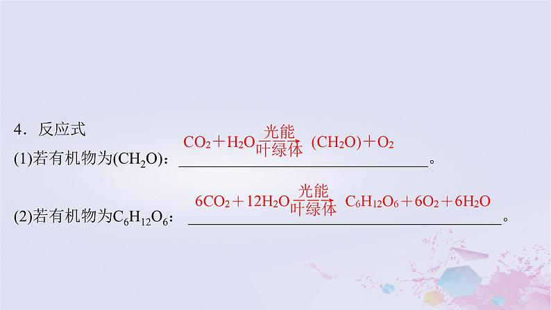 2025届高考生物一轮总复习必修1第三单元细胞的能量供应和利用第13讲光合作用的原理课件第8页