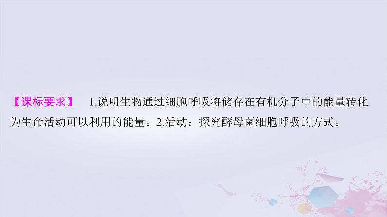 2025届高考生物一轮总复习必修1第三单元细胞的能量供应和利用第10讲细胞呼吸的原理课件第2页