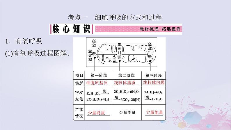 2025届高考生物一轮总复习必修1第三单元细胞的能量供应和利用第10讲细胞呼吸的原理课件第4页