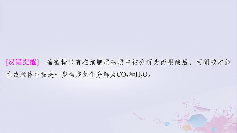 2025届高考生物一轮总复习必修1第三单元细胞的能量供应和利用第10讲细胞呼吸的原理课件第5页