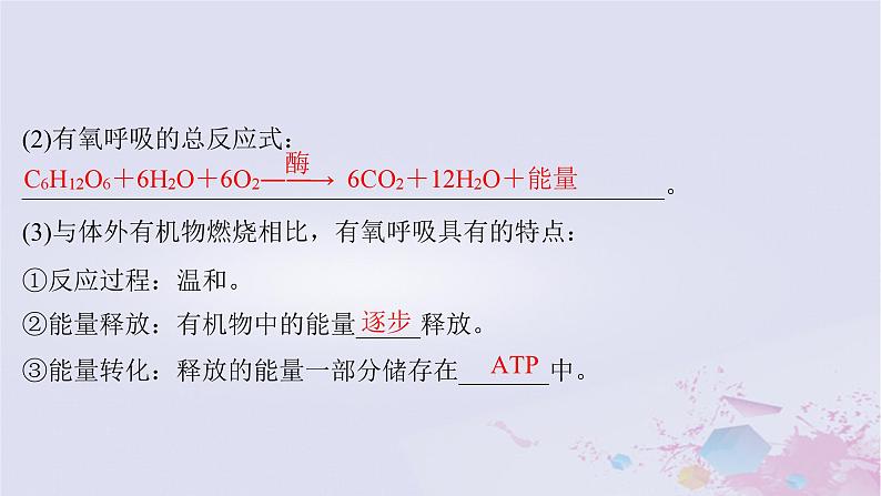 2025届高考生物一轮总复习必修1第三单元细胞的能量供应和利用第10讲细胞呼吸的原理课件第6页