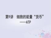 2025届高考生物一轮总复习必修1第三单元细胞的能量供应和利用第9讲细胞的能量“货币”__ATP课件
