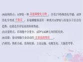 2025届高考生物一轮总复习必修1第三单元细胞的能量供应和利用第9讲细胞的能量“货币”__ATP课件
