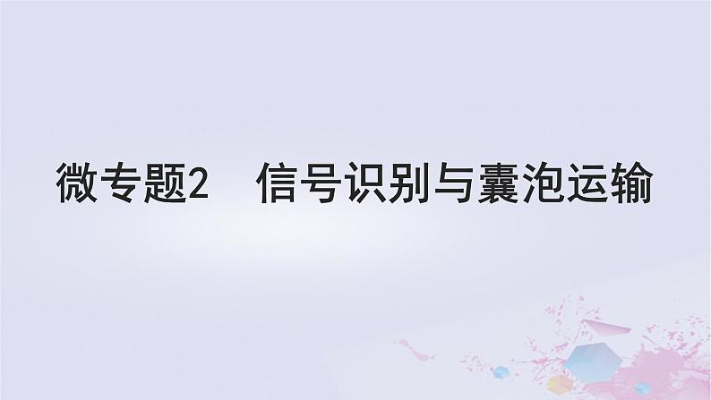 2025届高考生物一轮总复习必修1第二单元细胞的结构和物质运输微专题2信号识别与囊泡运输课件第1页