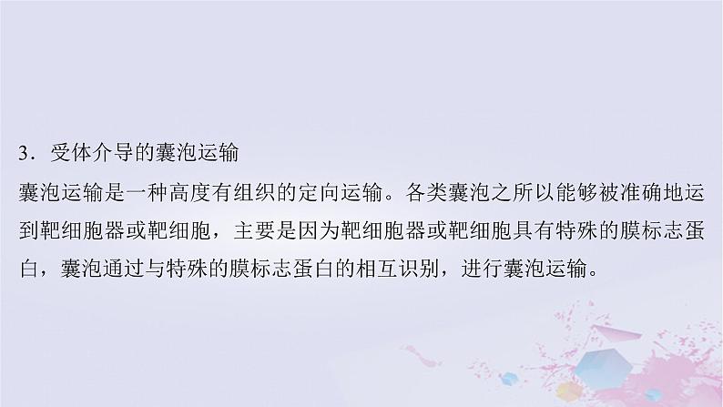 2025届高考生物一轮总复习必修1第二单元细胞的结构和物质运输微专题2信号识别与囊泡运输课件第4页