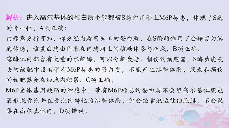 2025届高考生物一轮总复习必修1第二单元细胞的结构和物质运输微专题2信号识别与囊泡运输课件第6页