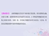 2025届高考生物一轮总复习必修1第二单元细胞的结构和物质运输第5讲细胞器与生物膜系统课件