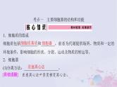 2025届高考生物一轮总复习必修1第二单元细胞的结构和物质运输第5讲细胞器与生物膜系统课件