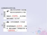 2025届高考生物一轮总复习必修1第二单元细胞的结构和物质运输第5讲细胞器与生物膜系统课件