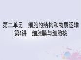 2025届高考生物一轮总复习必修1第二单元细胞的结构和物质运输第4讲细胞膜与细胞核课件