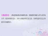 2025届高考生物一轮总复习必修1第二单元细胞的结构和物质运输第4讲细胞膜与细胞核课件
