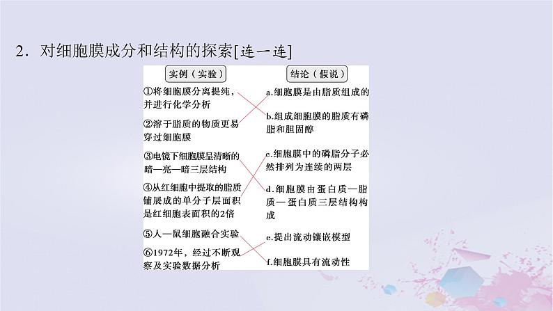 2025届高考生物一轮总复习必修1第二单元细胞的结构和物质运输第4讲细胞膜与细胞核课件第5页