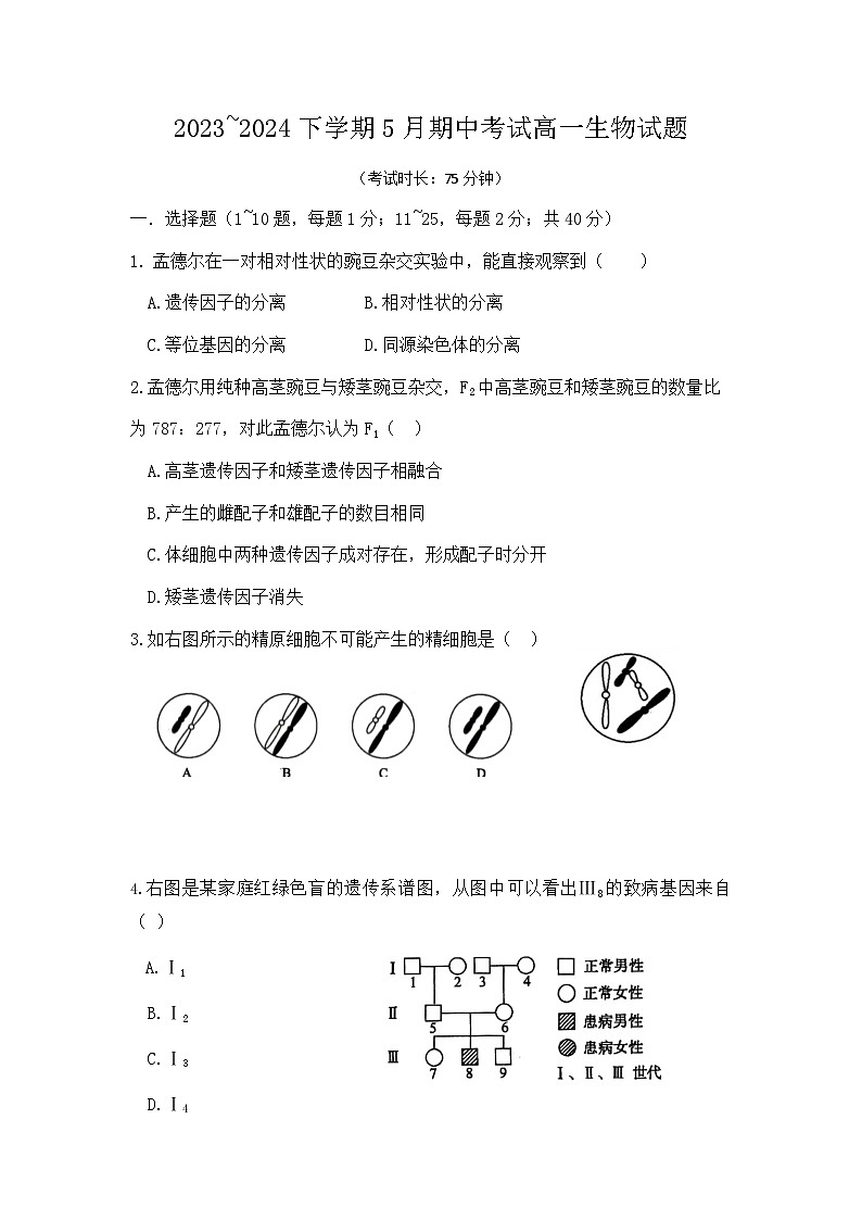 福建莆田市第十中学2023-2024学年高一下学期5月期中生物试卷01