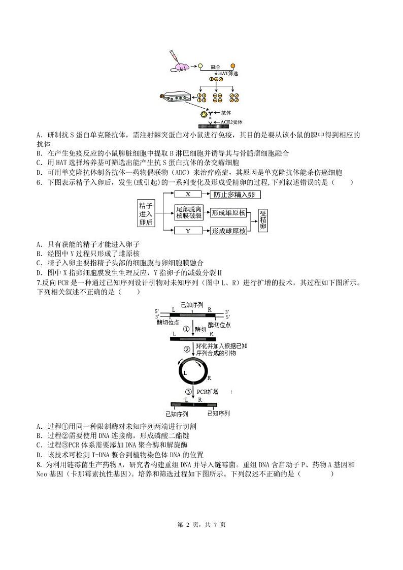 雅礼教育集团2024年上学期第三次月考高二生物试题（终稿）第2页
