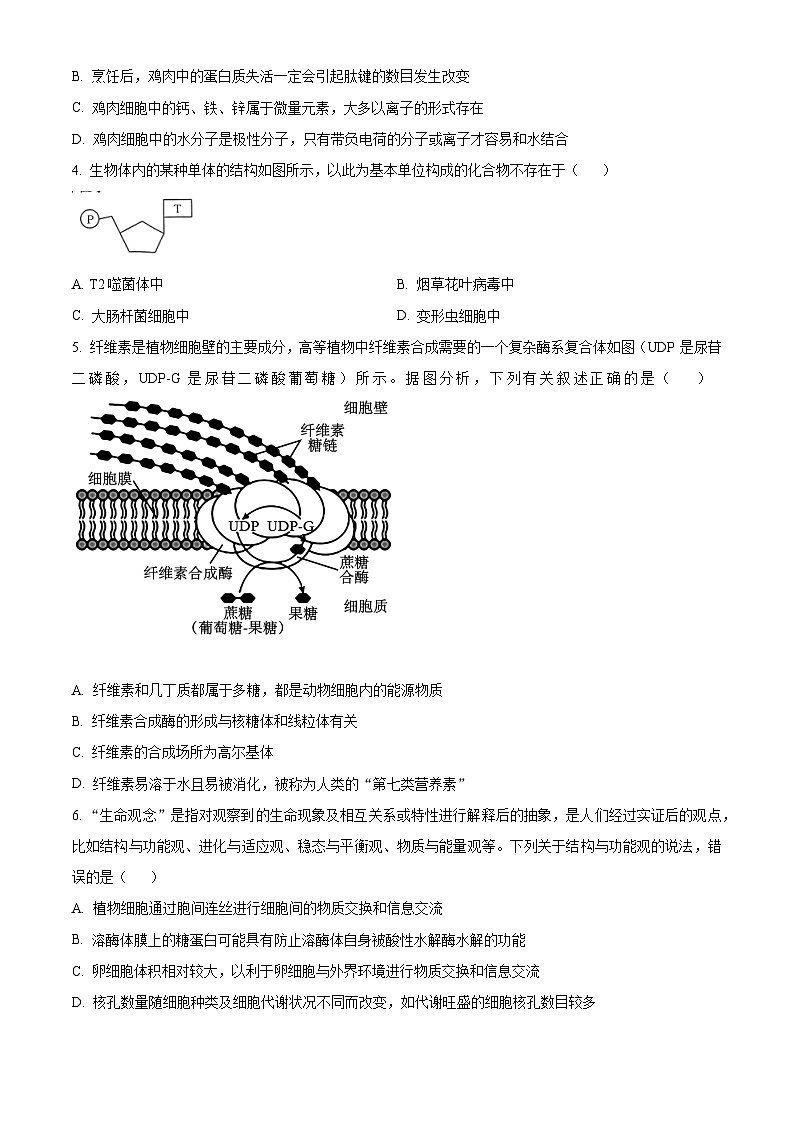 2024驻马店经济开发区高二下学期5月月考试题生物含解析第2页
