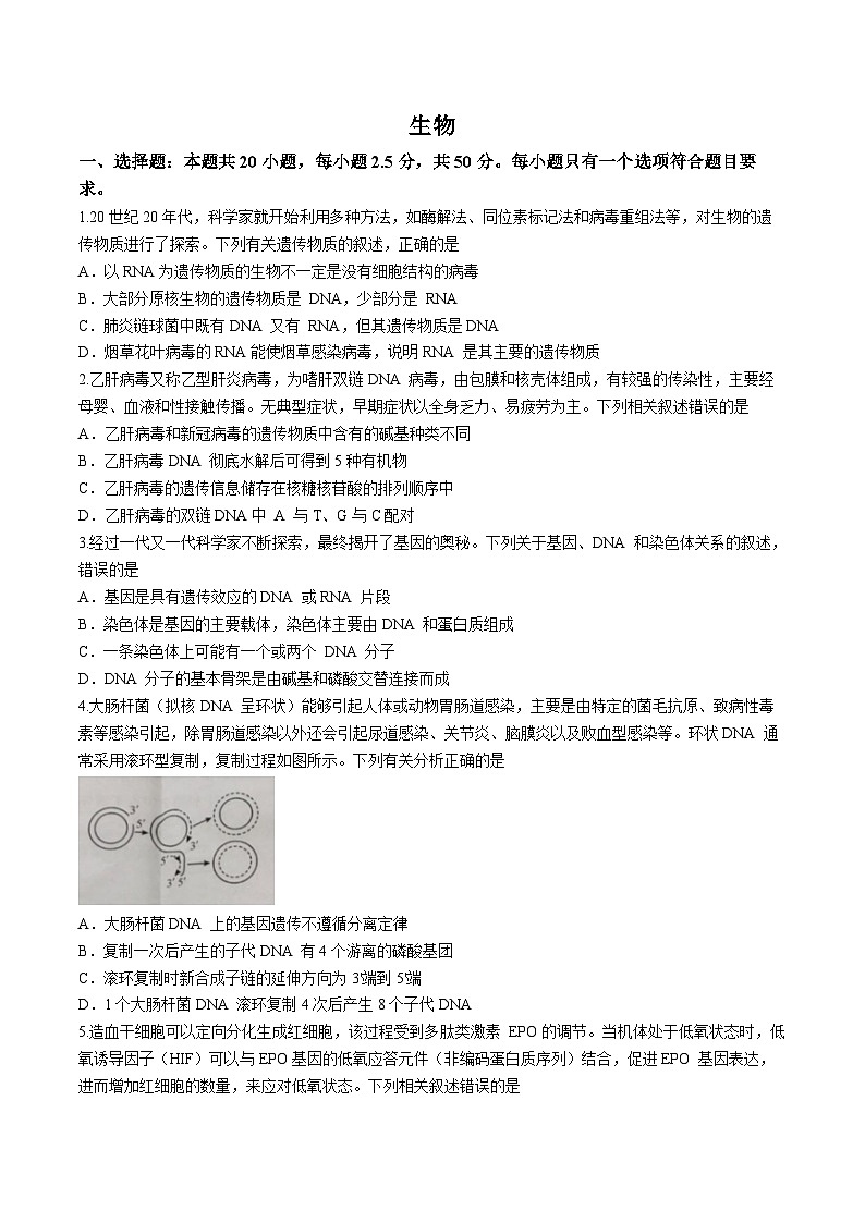 2024洛阳强基联盟高一下学期5月月考试题生物含解析01