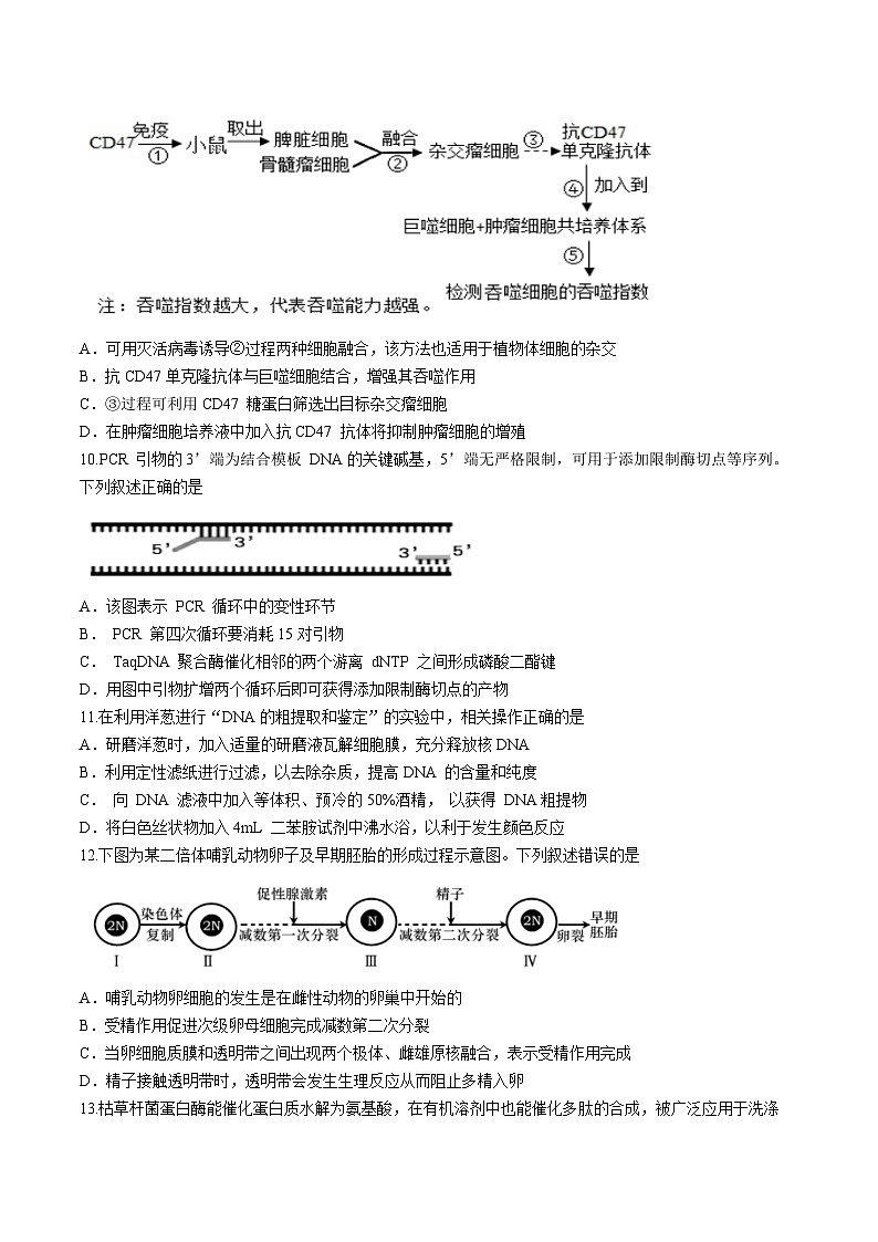 江苏省淮安市洪泽中学、金湖中学、清河中学、清浦中学等2023-2024学年高二下学期5月月考生物试题（Word版附答案）第3页