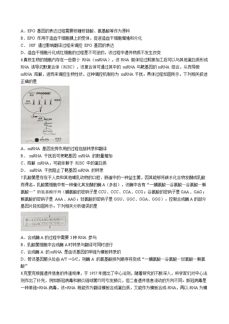 河南省洛阳市强基联盟2023-2024学年高一下学期5月月考生物试题（Word版附解析）02