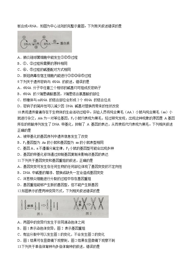 河南省洛阳市强基联盟2023-2024学年高一下学期5月月考生物试题（Word版附解析）03